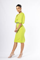 Celine Pencil Dress - House of Banke